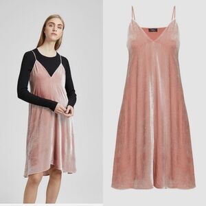 Theory Rose Velvet Crinkled Dress